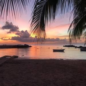 Meet your Posher, Lindsey